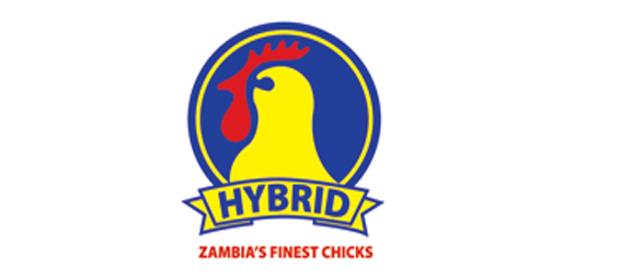 Hybrid Logo