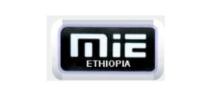 mesfin-logo-300×135