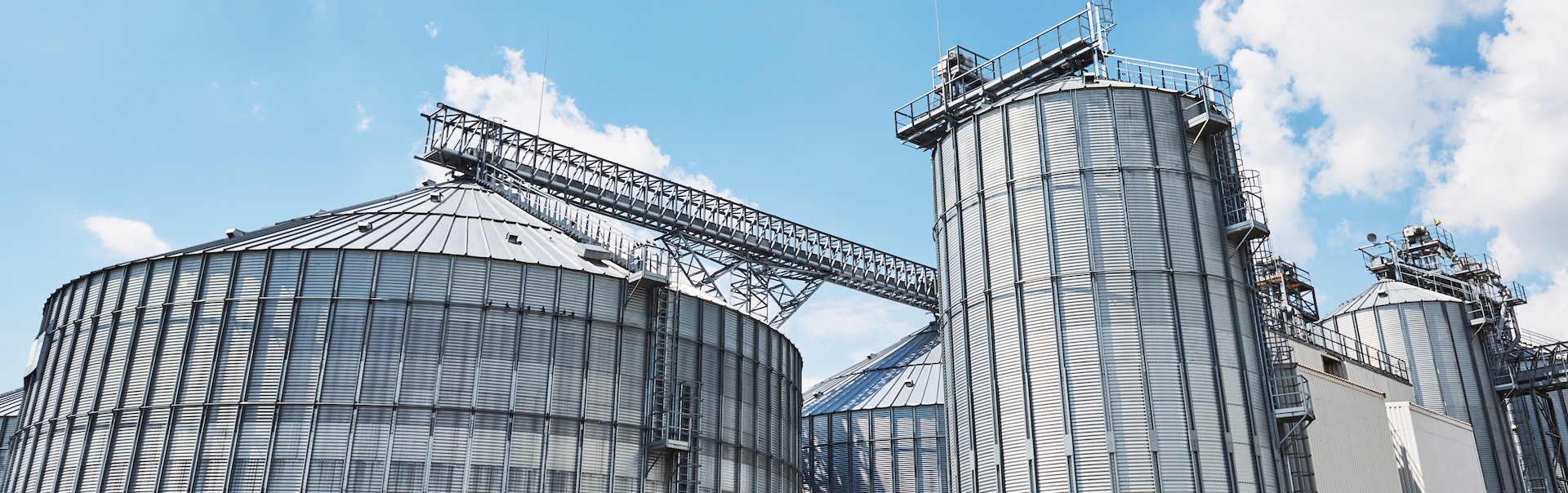 Multi-subsidiary food group drives performance and culture change using Hoshin Kanri