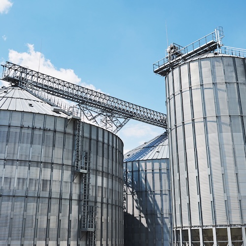 Multi-subsidiary food group drives performance and culture change using Hoshin Kanri