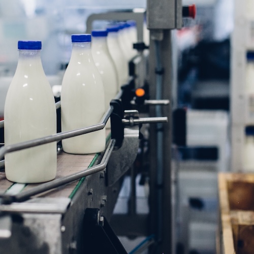Dairy firm reduces sales losses, wastages and improves profitability through Lean Kaizen